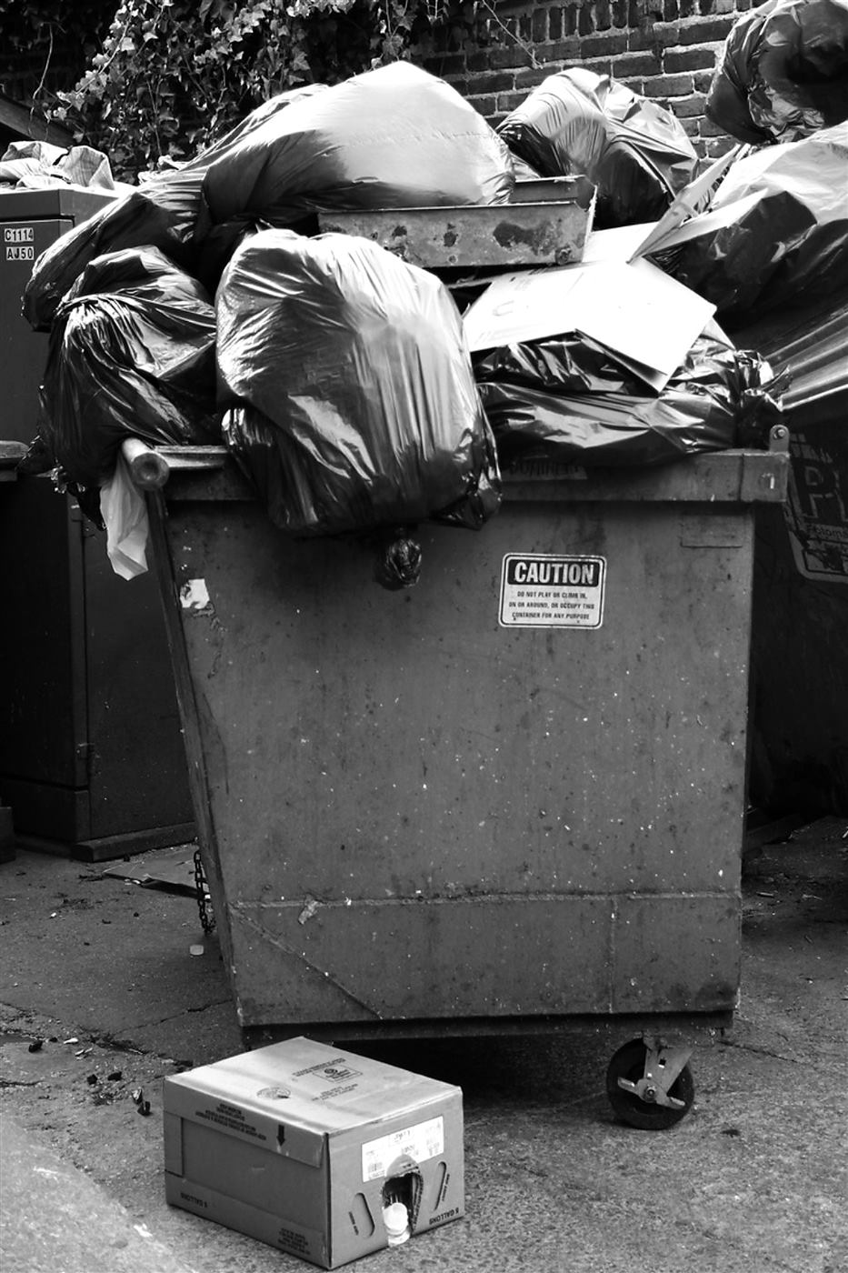 Caçamba de lixo transbordando de sacos pretos.